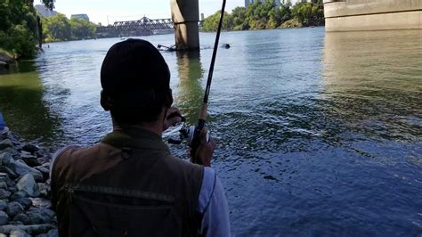 discovery park sacramento fishing report.